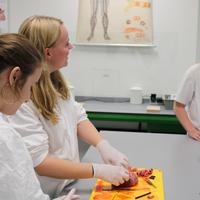 IMG_9678.JPG