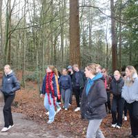 IMG_7329.JPG