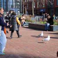 IMG_8378.JPG