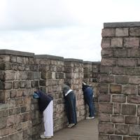 IMG_9536.jpg